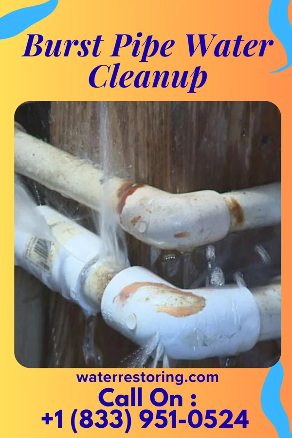 Burst Pipe Water Cleanup in Momeyer, NC