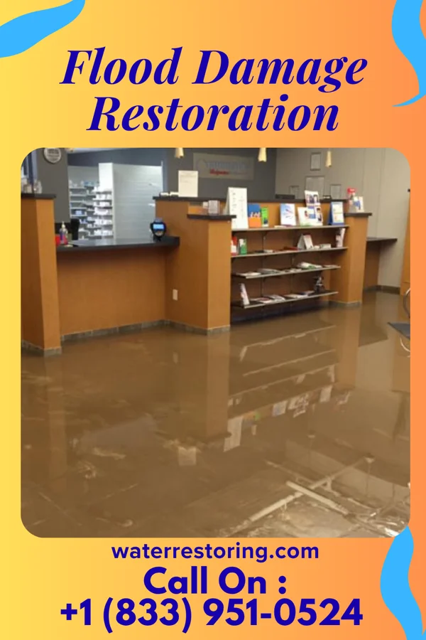 Flood Damage Restoration in Momeyer, NC