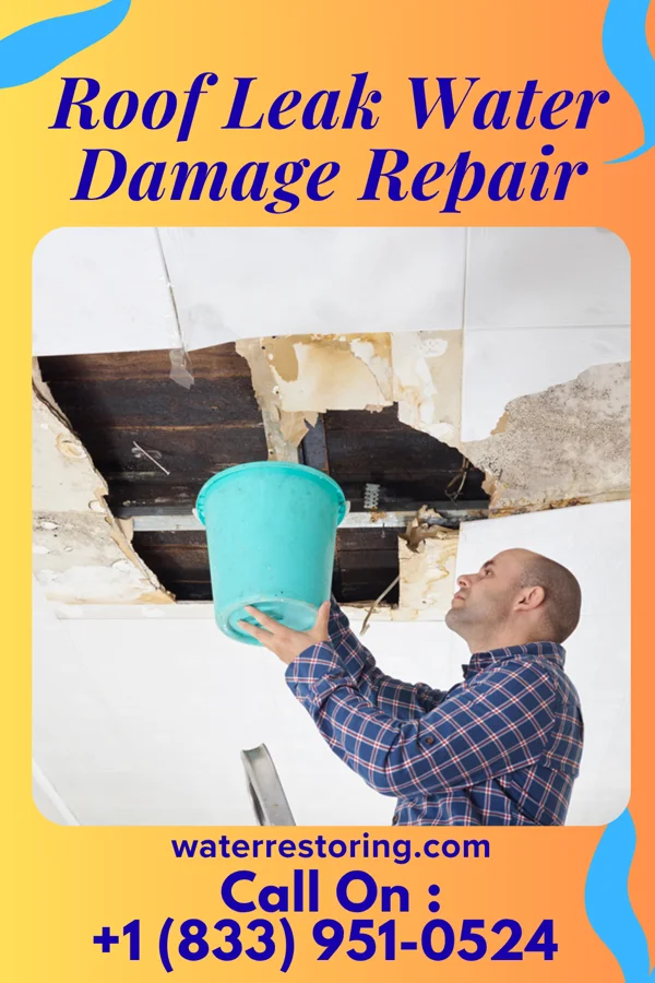 Roof Leak Water Damage Repair in Momeyer, NC
