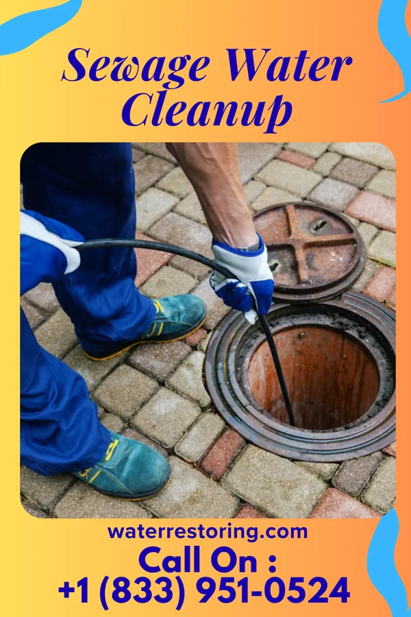 Sewage Water Cleanup in Momeyer, NC